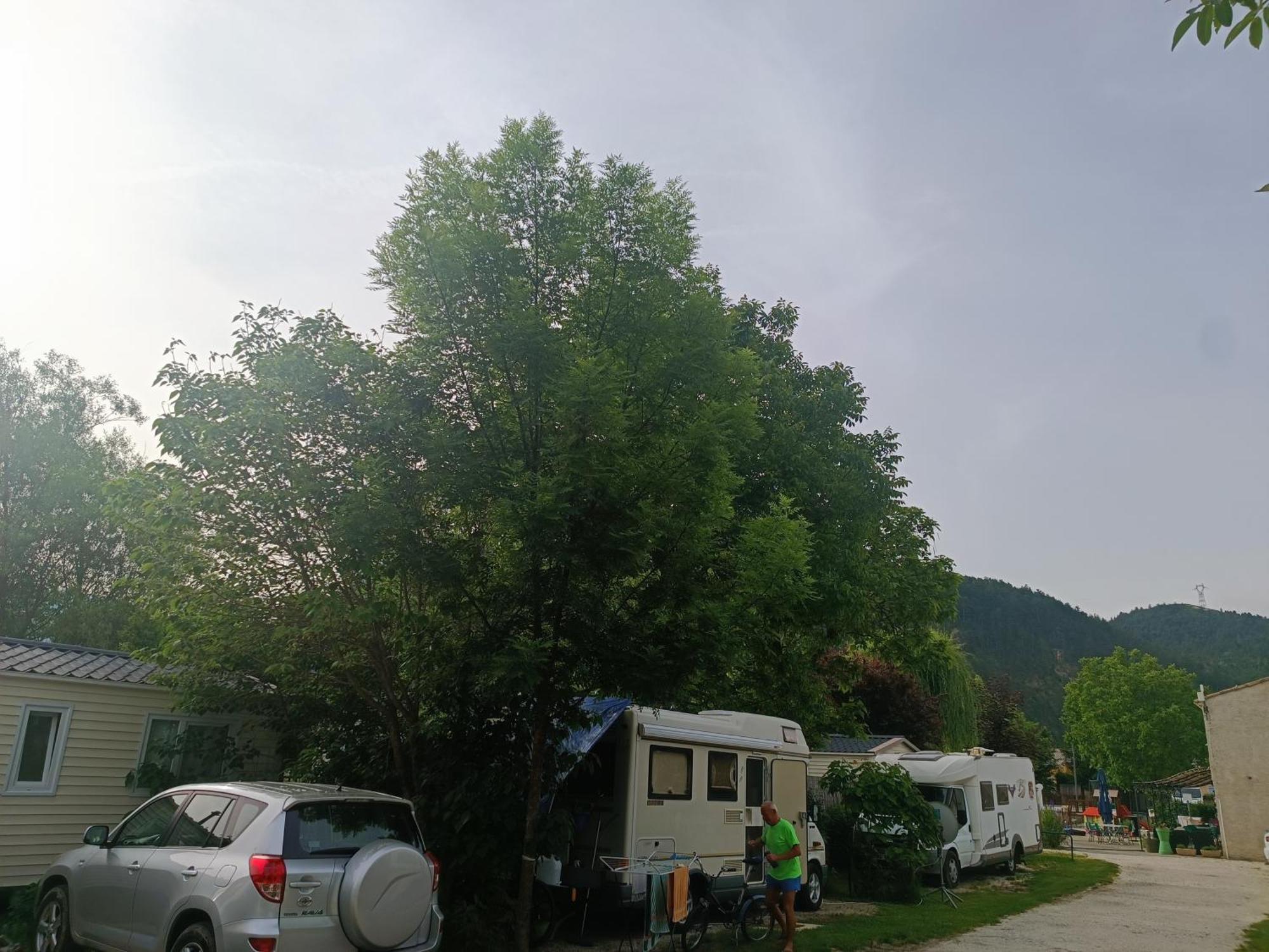Camping Les Lavandes, Кастеллан Экстерьер фото